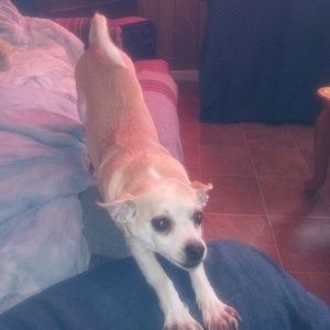 Meet your Posher, Jeff